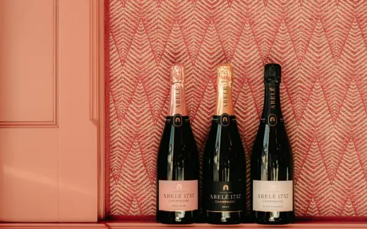 Beausite Zermatt H 24 Julius Hirtzberger Champagner B0045799